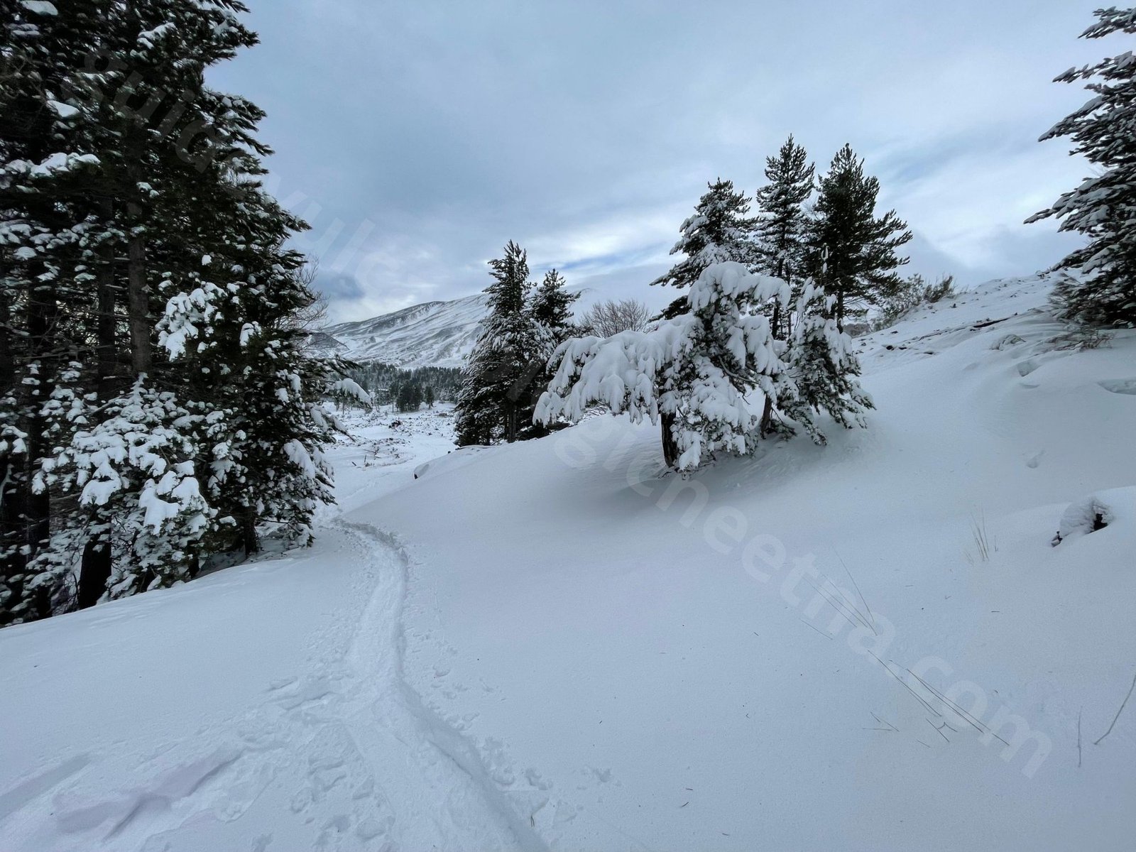 Escursione invernale sull'Etna